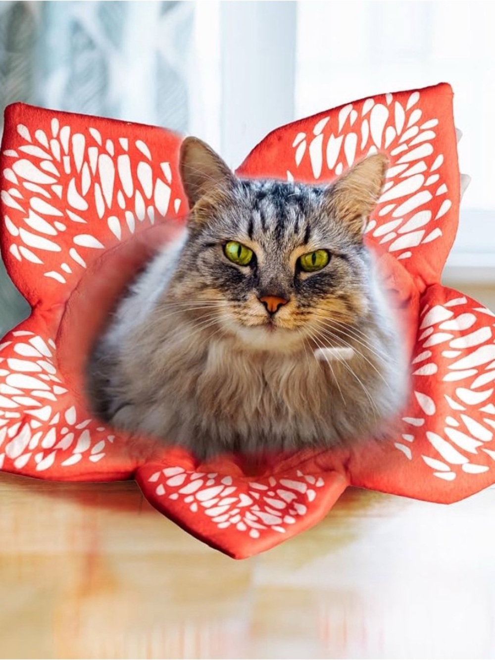 Play sack cat toy